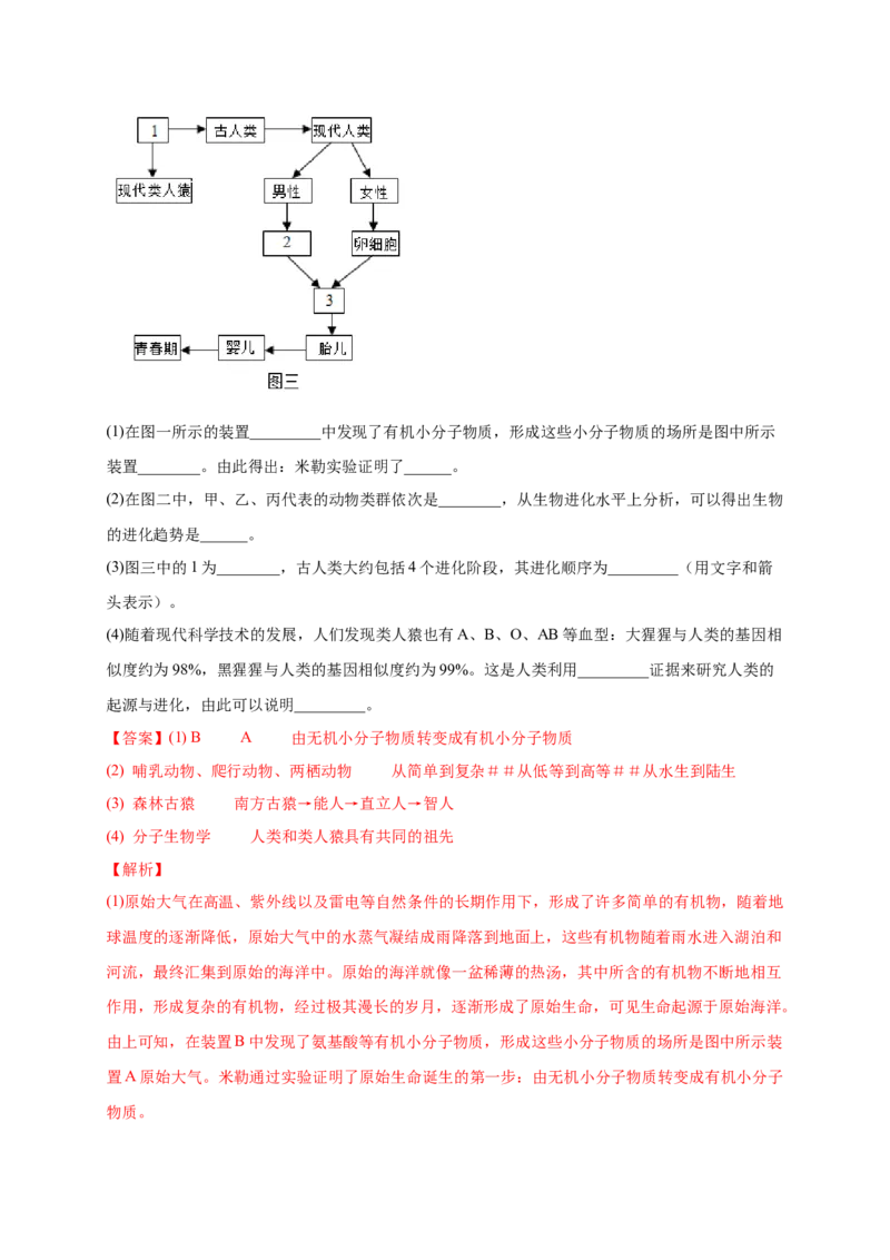 第三单元生命起源和生物进化（提分小卷）-单元测试（人教版）（解析版）_初中全科电子版试卷练习试题_生物_生物8下练习_人教生物8年级下单元试卷38份