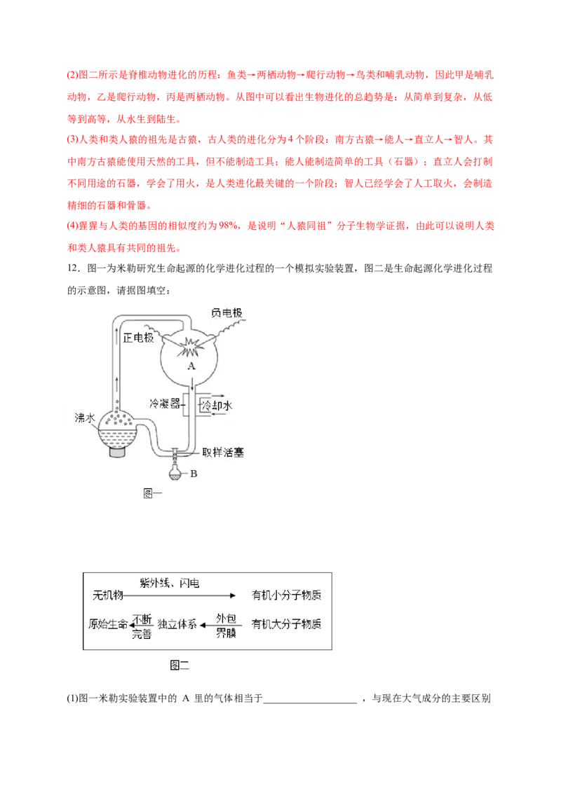 第三单元生命起源和生物进化（提分小卷）-单元测试（人教版）（解析版）_初中全科电子版试卷练习试题_生物_生物8下练习_人教生物8年级下单元试卷38份