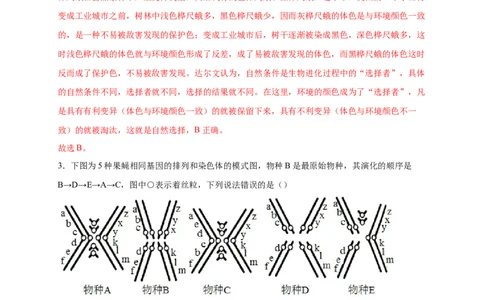 第三单元生命起源和生物进化（提分小卷）-单元测试（人教版）（解析版）_初中全科电子版试卷练习试题_生物_生物8下练习_人教生物8年级下单元试卷38份
