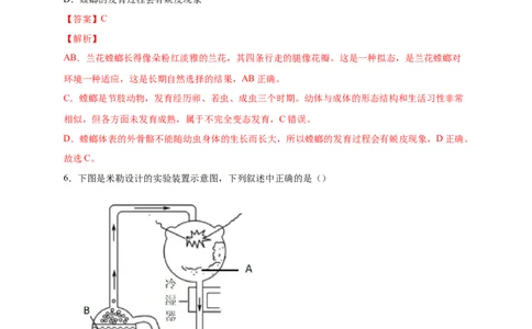 第三单元生命起源和生物进化（提分小卷）-单元测试（人教版）（解析版）_初中全科电子版试卷练习试题_生物_生物8下练习_人教生物8年级下单元试卷38份