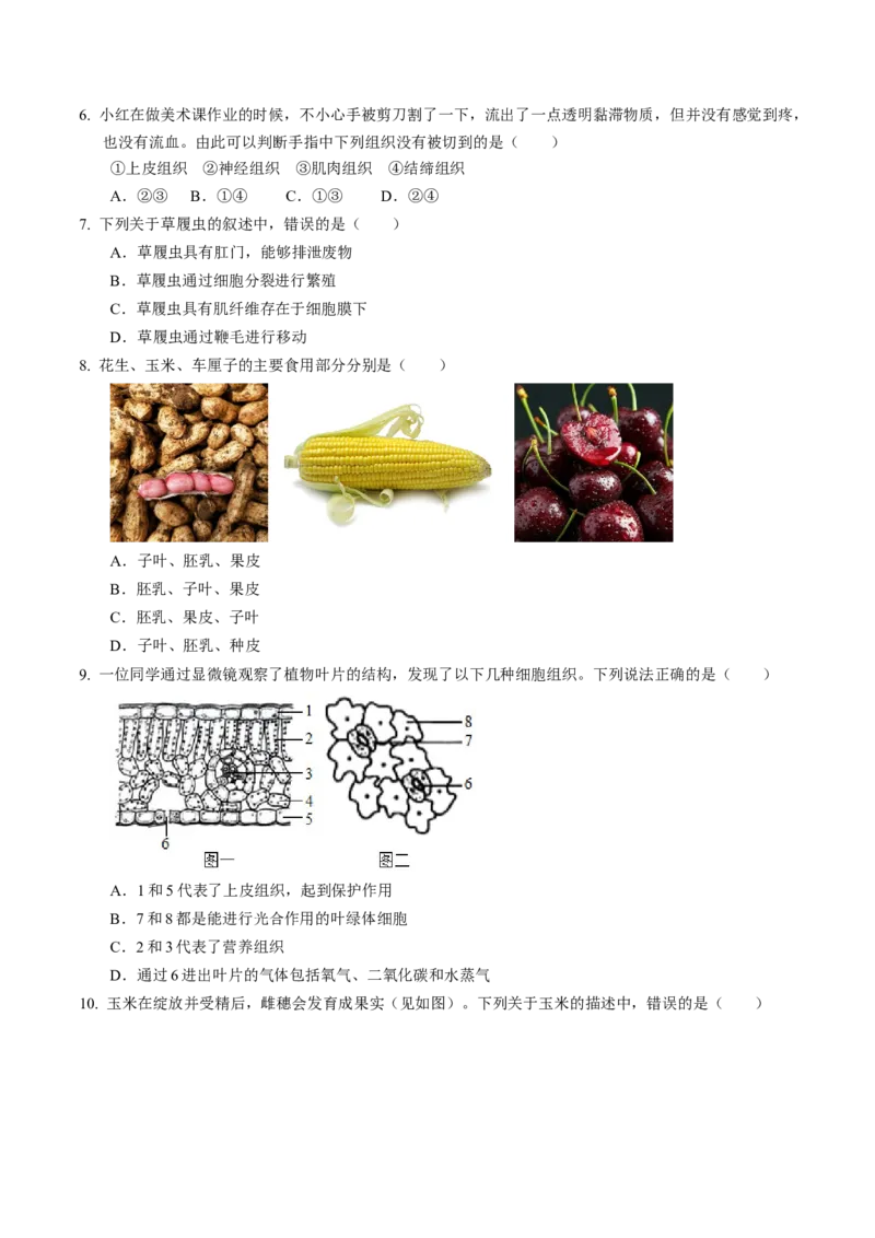 生物（江西卷）（考试版A4）_初中全科电子版试卷练习试题_生物_2024中考模拟题生物(1)_一模_生物（江西卷）-2024年中考第一次模拟考试