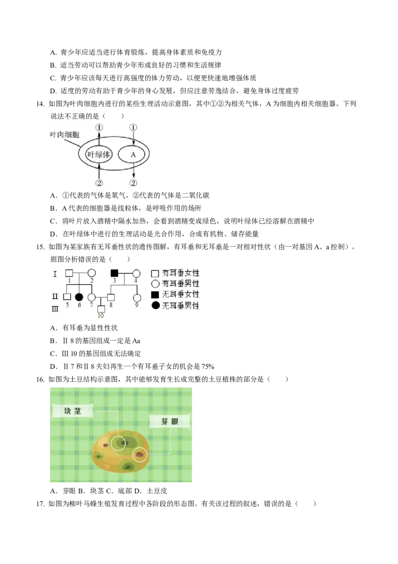 生物（江西卷）（考试版A4）_初中全科电子版试卷练习试题_生物_2024中考模拟题生物(1)_一模_生物（江西卷）-2024年中考第一次模拟考试