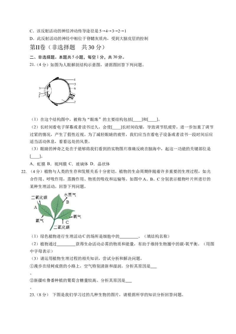 生物（江西卷）（考试版A4）_初中全科电子版试卷练习试题_生物_2024中考模拟题生物(1)_一模_生物（江西卷）-2024年中考第一次模拟考试