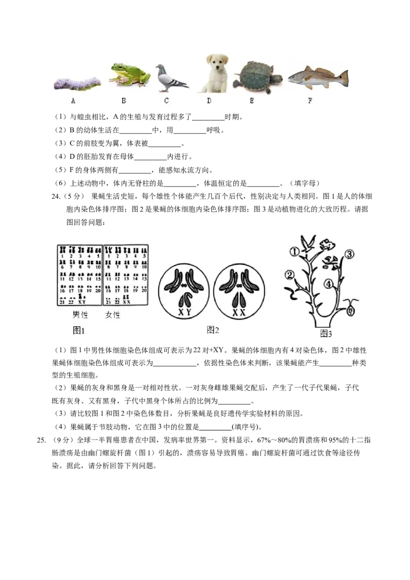 生物（江西卷）（考试版A4）_初中全科电子版试卷练习试题_生物_2024中考模拟题生物(1)_一模_生物（江西卷）-2024年中考第一次模拟考试