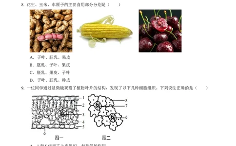 生物（江西卷）（考试版A4）_初中全科电子版试卷练习试题_生物_2024中考模拟题生物(1)_一模_生物（江西卷）-2024年中考第一次模拟考试