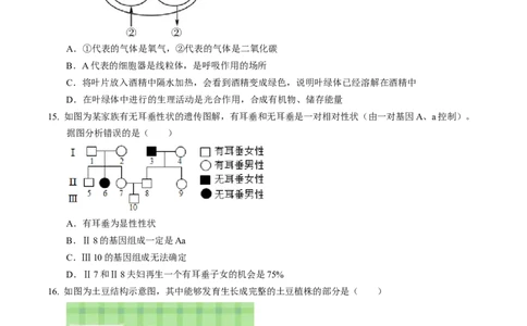 生物（江西卷）（考试版A4）_初中全科电子版试卷练习试题_生物_2024中考模拟题生物(1)_一模_生物（江西卷）-2024年中考第一次模拟考试