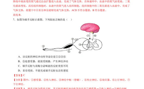 生物（连云港卷）（全解全析）_初中全科电子版试卷练习试题_生物_2024中考模拟题生物(1)_二模_生物（连云港卷）-：2024年中考第二次模拟考试