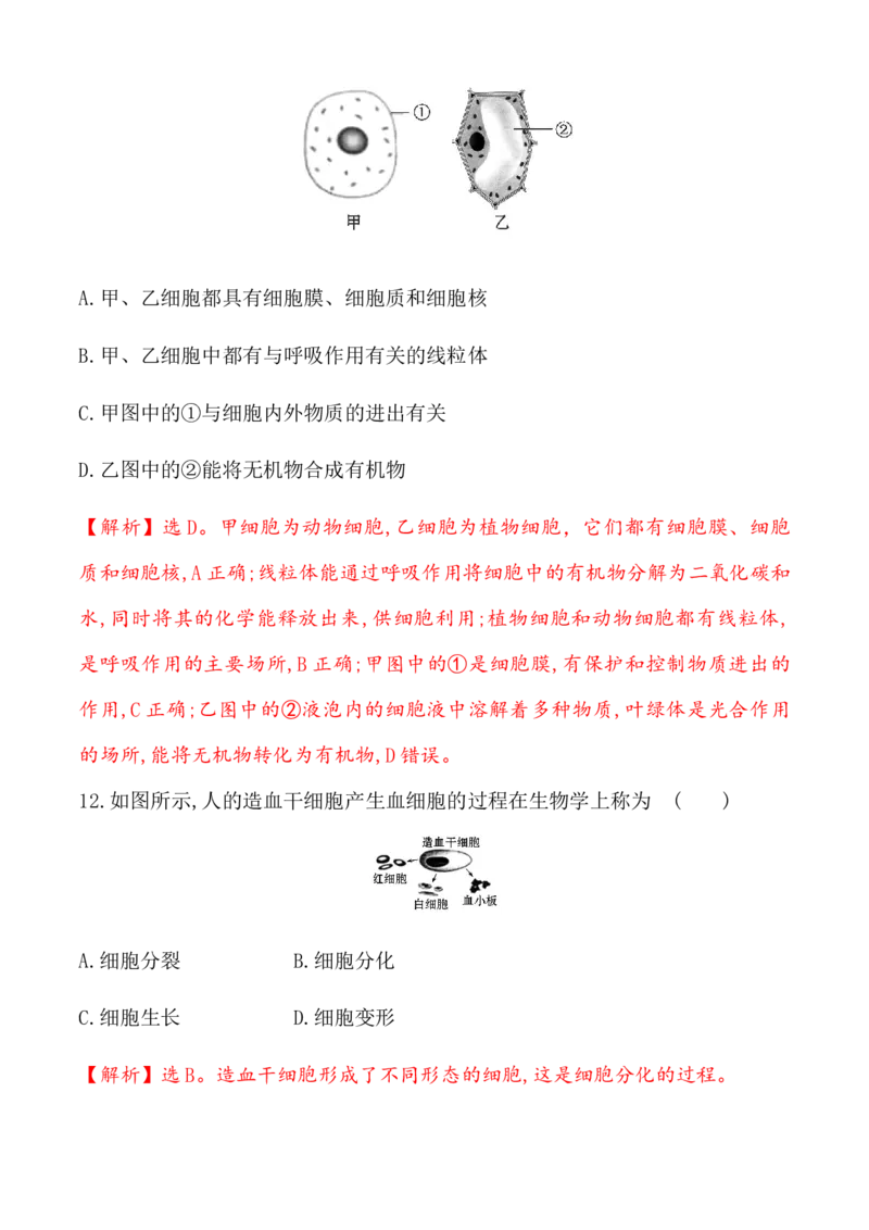 期末冲刺卷1-（人教版）（解析版）_初中全科电子版试卷练习试题_生物_生物人教版7上练习&mdash;24新版已更新_人教生物7年级上期末试卷11份