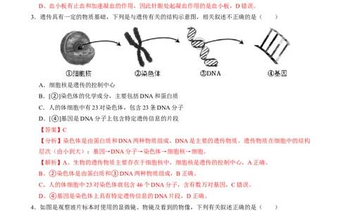 生物（贵阳卷）（全解全析）_初中全科电子版试卷练习试题_生物_2024中考模拟题生物(1)_一模_生物（贵阳卷）-2024年中考第一次模拟考试