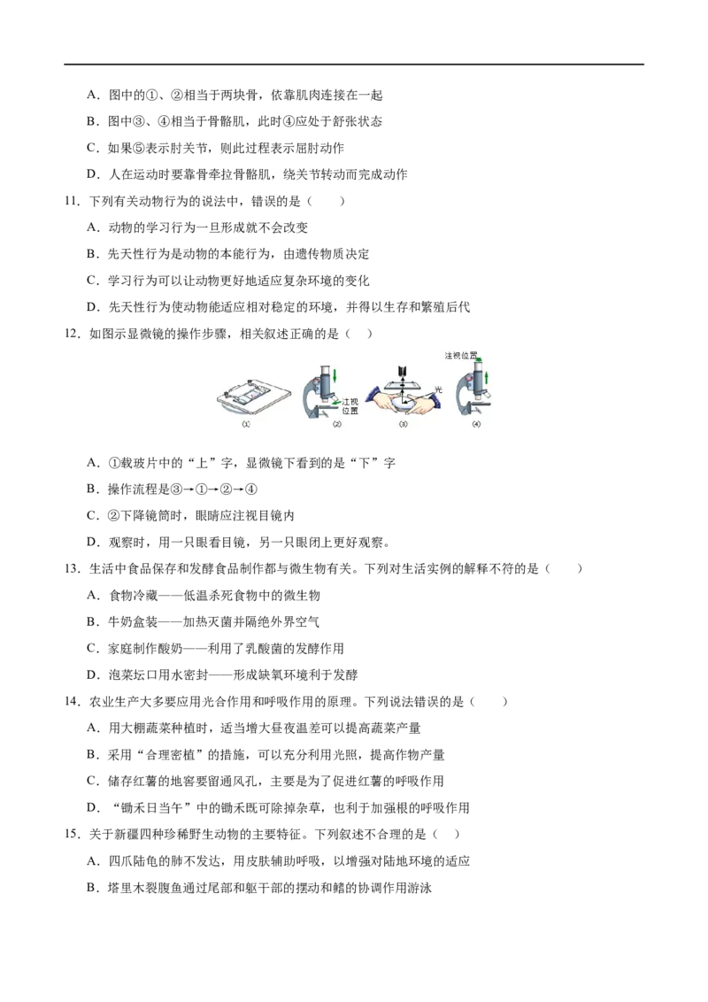 生物（广西卷）（考试版A4）_初中全科电子版试卷练习试题_生物_2024中考模拟题生物(1)_三模（37套）_生物（广西卷）