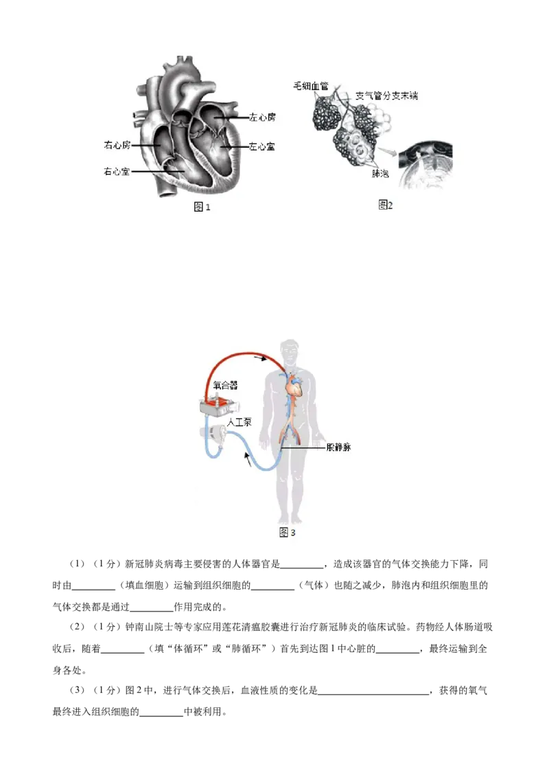 期末冲刺卷03-（人教版）（原卷版）_初中全科电子版试卷练习试题_生物_生物人教版7下练习_人教生物7年级下期末试卷11份