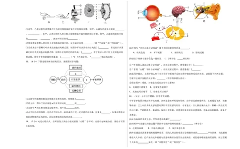 生物（重庆卷）（考试版A3）_初中全科电子版试卷练习试题_生物_2024中考模拟题生物(1)_三模（37套）_生物（重庆卷）