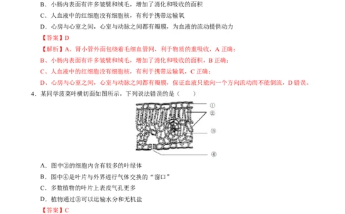 生物（辽宁卷）（全解全析）_初中全科电子版试卷练习试题_生物_2024中考模拟题生物(1)_一模_生物（辽宁卷）-2024年中考第一次模拟考试