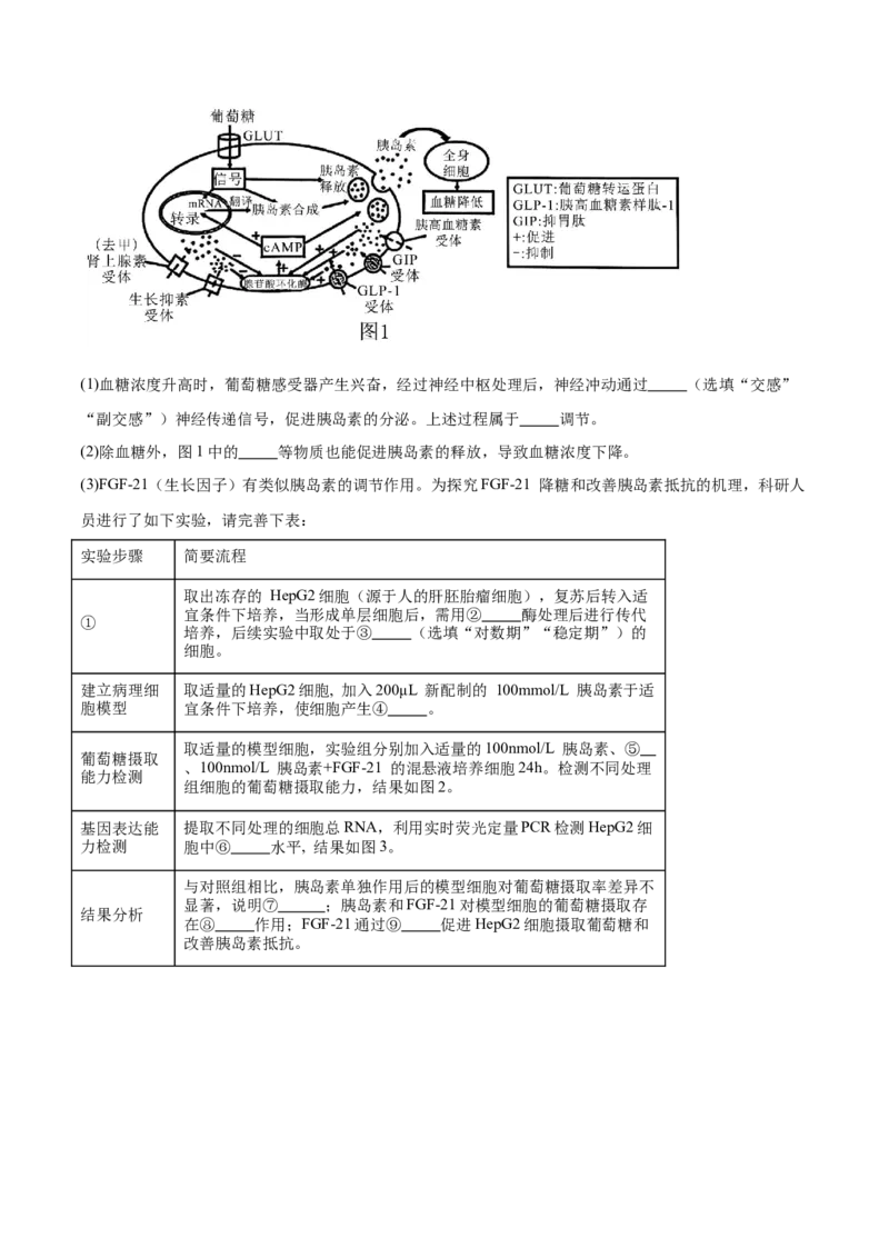 信息必刷卷01（安徽专用）原卷版_2025年新高考资料_2025考前信息卷_2025年高考生物考前信息必刷卷（安徽专用）3441065