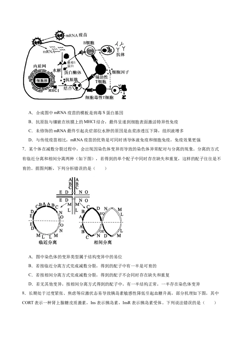 信息必刷卷01（安徽专用）原卷版_2025年新高考资料_2025考前信息卷_2025年高考生物考前信息必刷卷（安徽专用）3441065