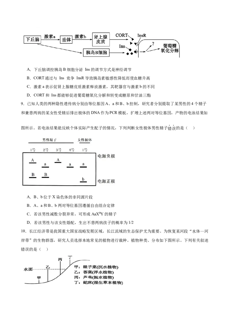 信息必刷卷01（安徽专用）原卷版_2025年新高考资料_2025考前信息卷_2025年高考生物考前信息必刷卷（安徽专用）3441065
