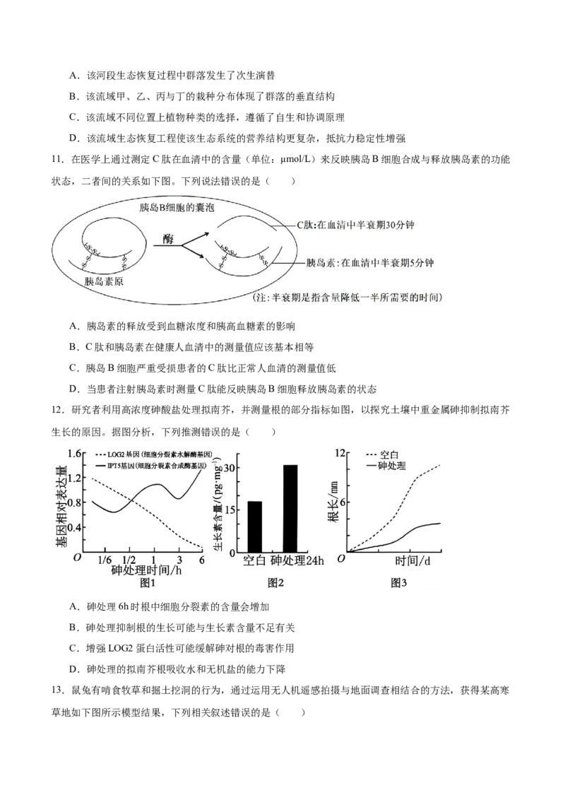 信息必刷卷01（安徽专用）原卷版_2025年新高考资料_2025考前信息卷_2025年高考生物考前信息必刷卷（安徽专用）3441065