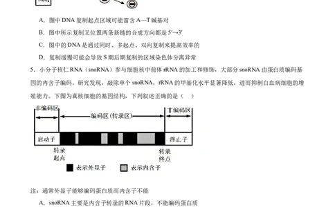 信息必刷卷01（安徽专用）原卷版_2025年新高考资料_2025考前信息卷_2025年高考生物考前信息必刷卷（安徽专用）3441065