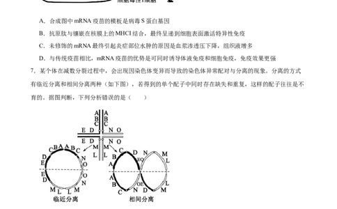 信息必刷卷01（安徽专用）原卷版_2025年新高考资料_2025考前信息卷_2025年高考生物考前信息必刷卷（安徽专用）3441065