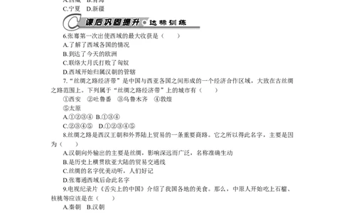 第14课沟通中外文明的&ldquo;丝绸之路&rdquo;习题含答案_初中全科电子版试卷练习试题_历史_历史人教版7上试卷_部编人教版历史7年级上同步练习24份_同步练习（第一套）