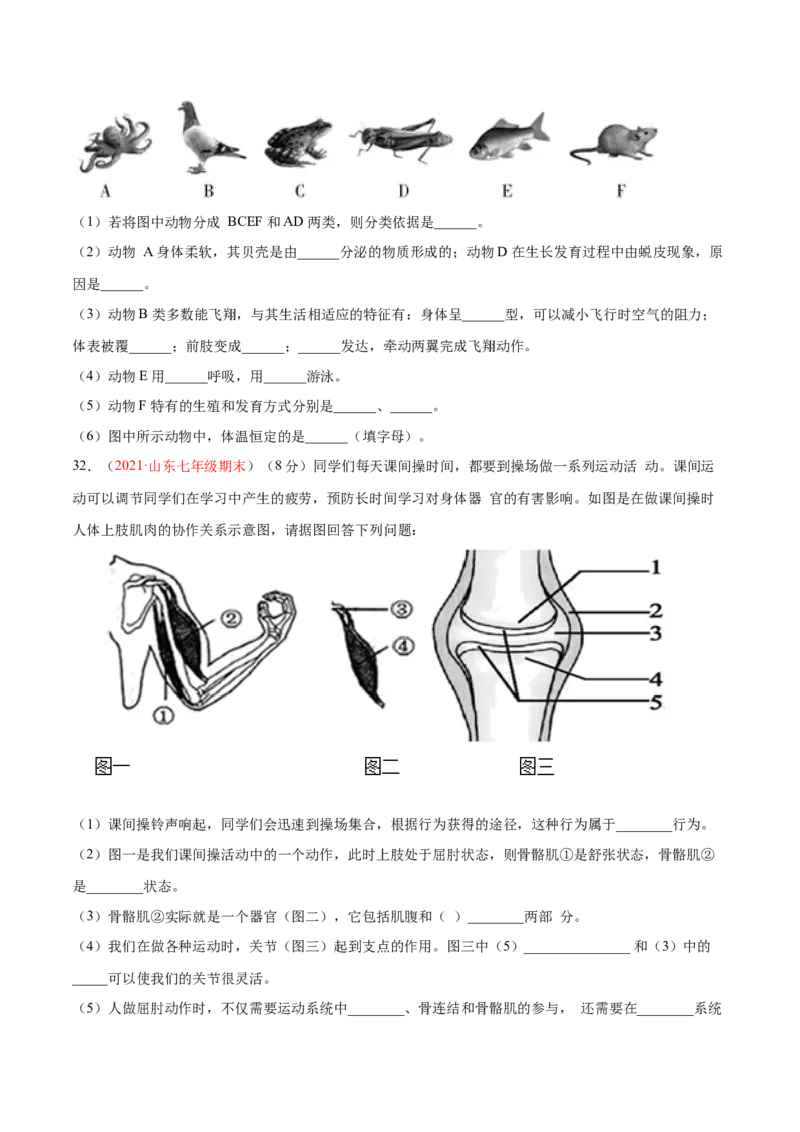 期中测试（B卷&middot;提升能力）（原卷版）_初中全科电子版试卷练习试题_生物_生物8下练习_人教生物8年级下期中试卷10份