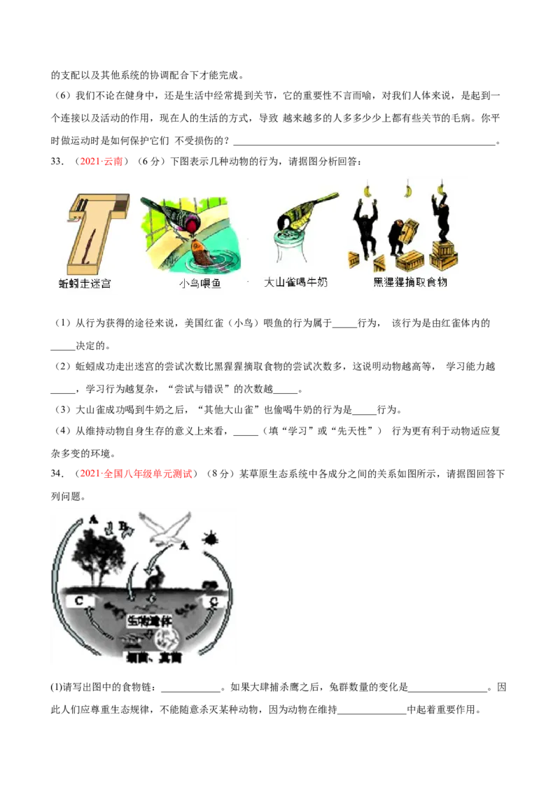 期中测试（B卷&middot;提升能力）（原卷版）_初中全科电子版试卷练习试题_生物_生物8下练习_人教生物8年级下期中试卷10份