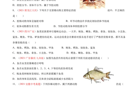 期中测试（B卷&middot;提升能力）（原卷版）_初中全科电子版试卷练习试题_生物_生物8下练习_人教生物8年级下期中试卷10份