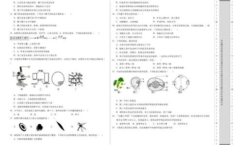 生物（海南卷）（考试版A3）_初中全科电子版试卷练习试题_生物_2024中考模拟题生物(1)_一模_生物（海南卷）-2024年中考第一次模拟考试
