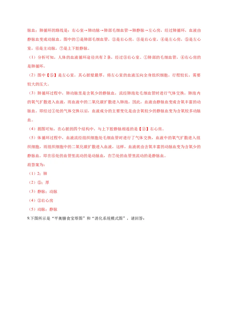 特训07图像分析题（20题）-（尖子生专用）（解析版）_初中全科电子版试卷练习试题_生物_生物人教版7下练习_人教生物7年级下专项练习16份
