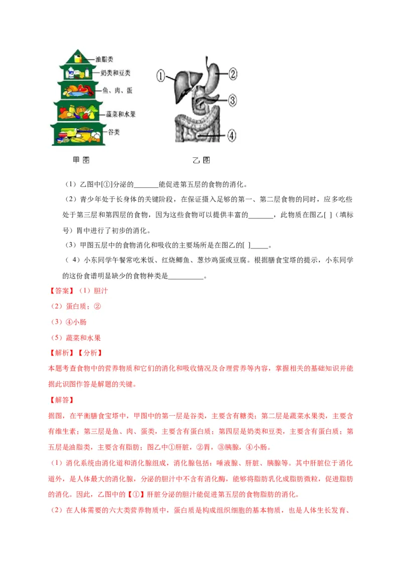特训07图像分析题（20题）-（尖子生专用）（解析版）_初中全科电子版试卷练习试题_生物_生物人教版7下练习_人教生物7年级下专项练习16份