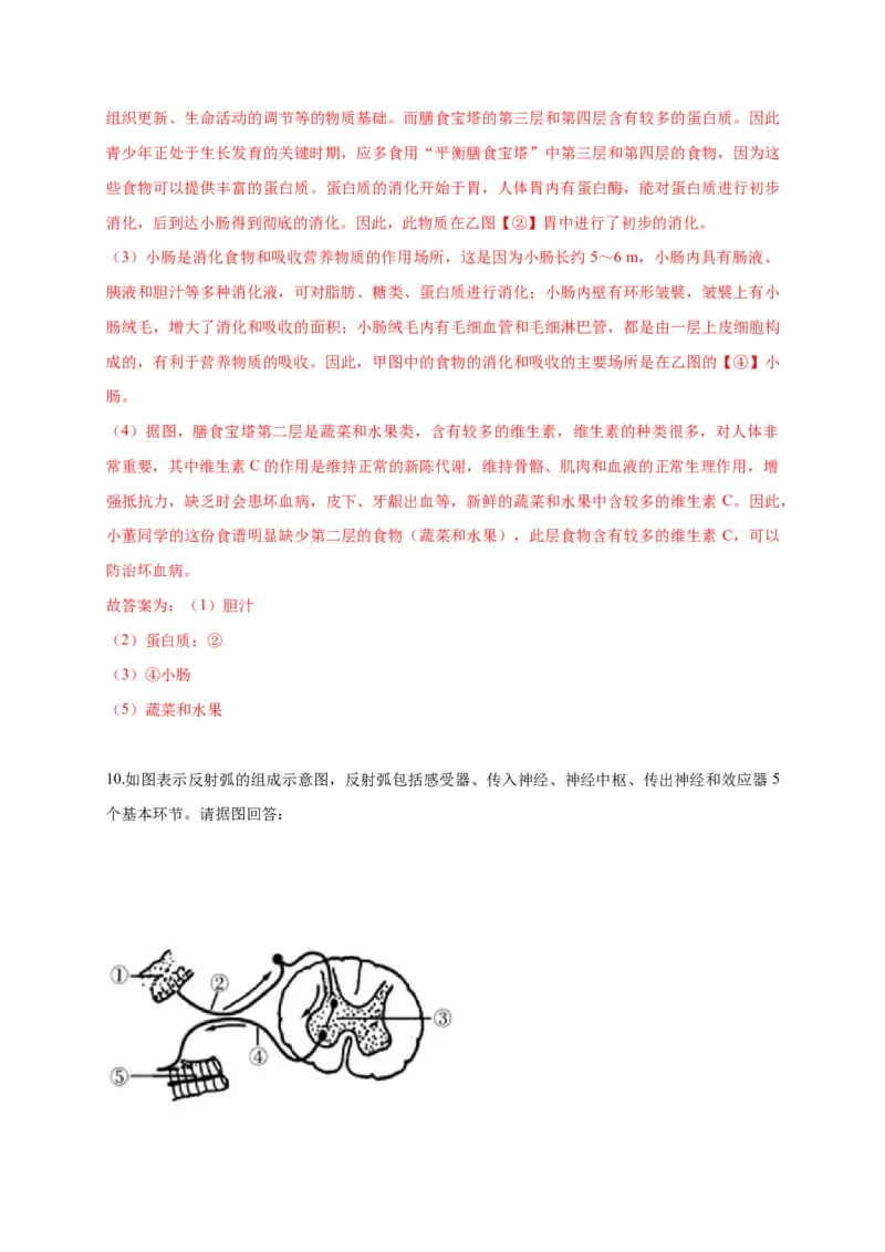 特训07图像分析题（20题）-（尖子生专用）（解析版）_初中全科电子版试卷练习试题_生物_生物人教版7下练习_人教生物7年级下专项练习16份