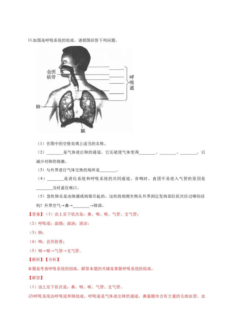 特训07图像分析题（20题）-（尖子生专用）（解析版）_初中全科电子版试卷练习试题_生物_生物人教版7下练习_人教生物7年级下专项练习16份