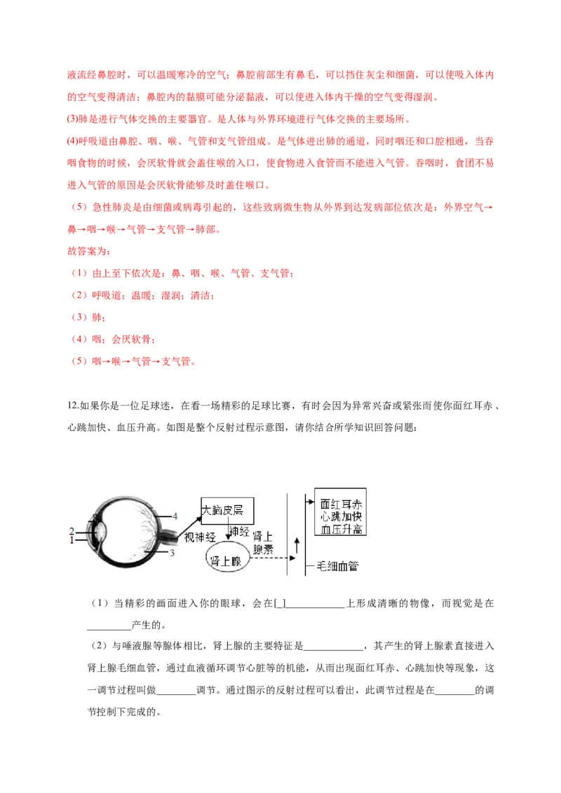 特训07图像分析题（20题）-（尖子生专用）（解析版）_初中全科电子版试卷练习试题_生物_生物人教版7下练习_人教生物7年级下专项练习16份