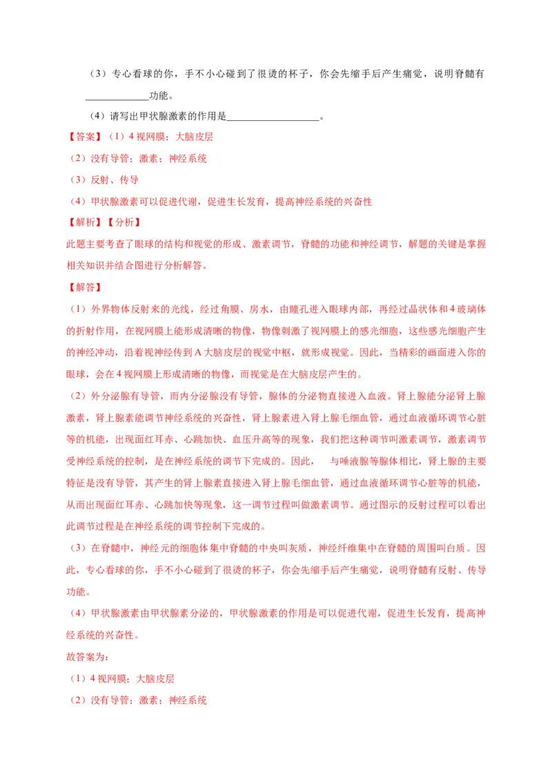 特训07图像分析题（20题）-（尖子生专用）（解析版）_初中全科电子版试卷练习试题_生物_生物人教版7下练习_人教生物7年级下专项练习16份