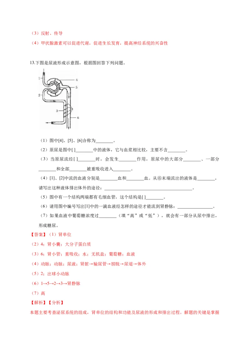 特训07图像分析题（20题）-（尖子生专用）（解析版）_初中全科电子版试卷练习试题_生物_生物人教版7下练习_人教生物7年级下专项练习16份