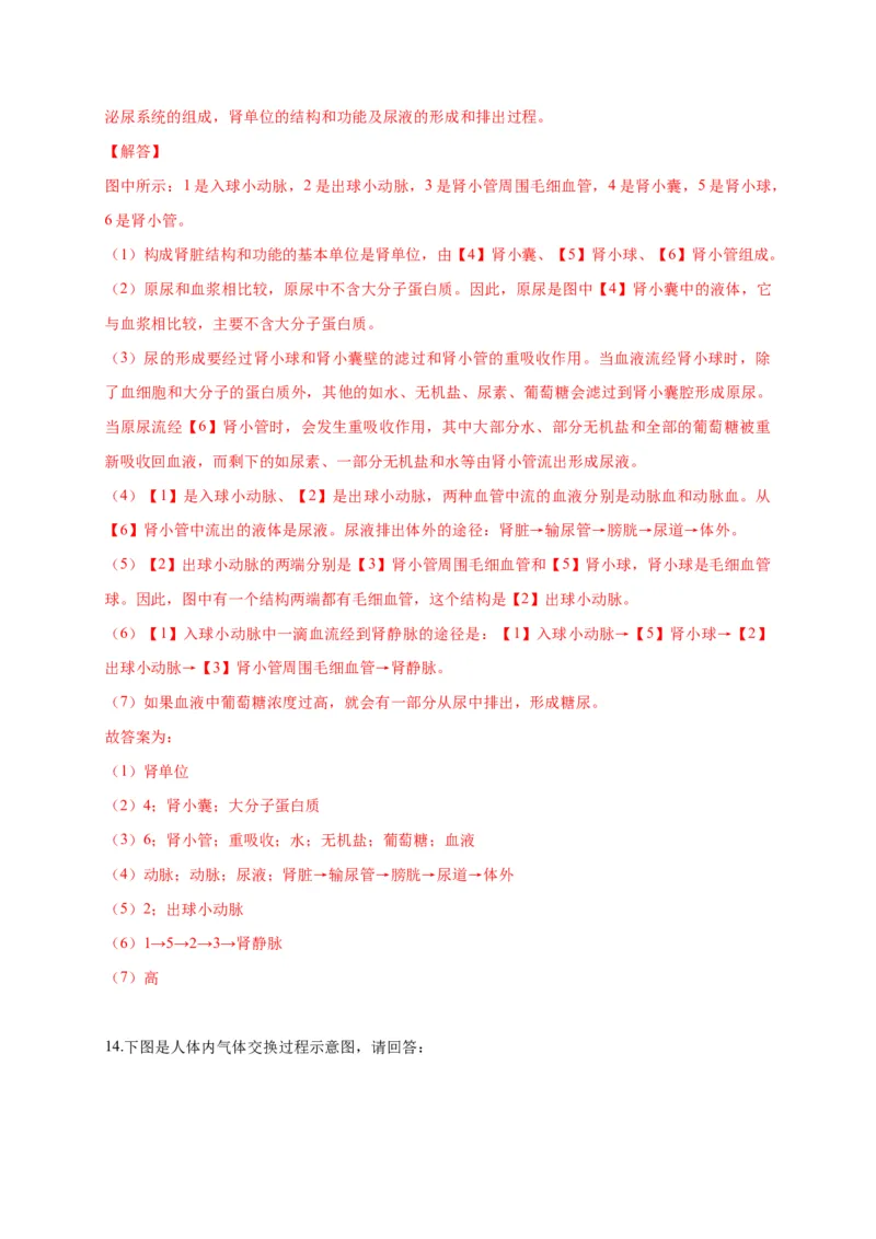 特训07图像分析题（20题）-（尖子生专用）（解析版）_初中全科电子版试卷练习试题_生物_生物人教版7下练习_人教生物7年级下专项练习16份