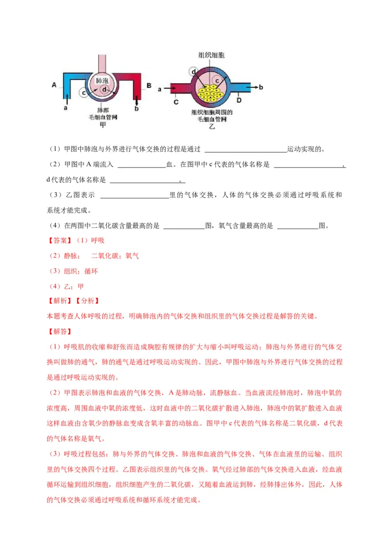 特训07图像分析题（20题）-（尖子生专用）（解析版）_初中全科电子版试卷练习试题_生物_生物人教版7下练习_人教生物7年级下专项练习16份