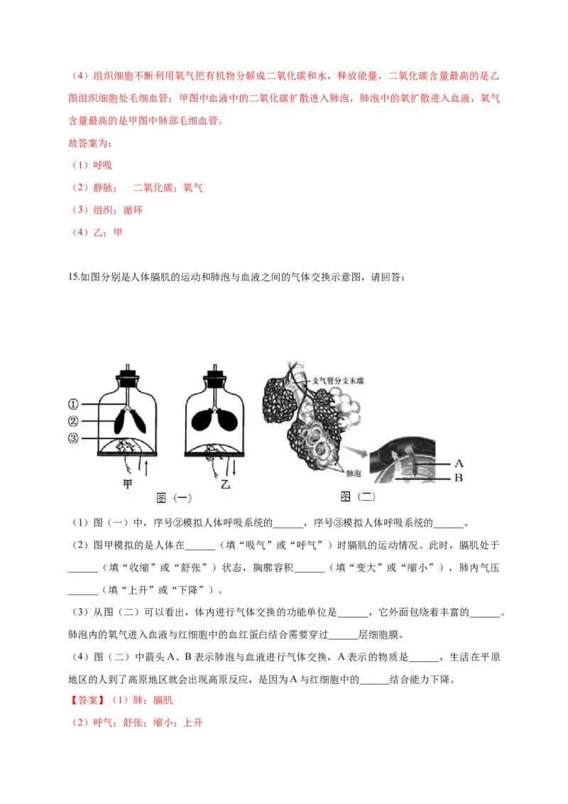 特训07图像分析题（20题）-（尖子生专用）（解析版）_初中全科电子版试卷练习试题_生物_生物人教版7下练习_人教生物7年级下专项练习16份