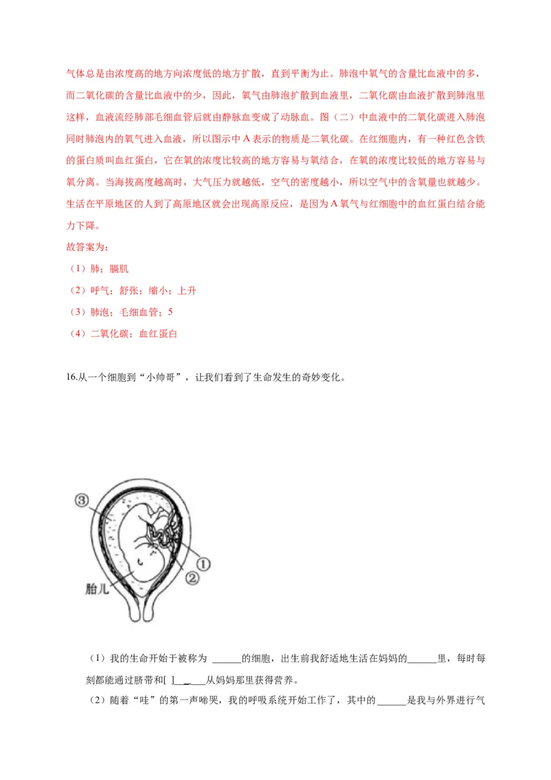 特训07图像分析题（20题）-（尖子生专用）（解析版）_初中全科电子版试卷练习试题_生物_生物人教版7下练习_人教生物7年级下专项练习16份
