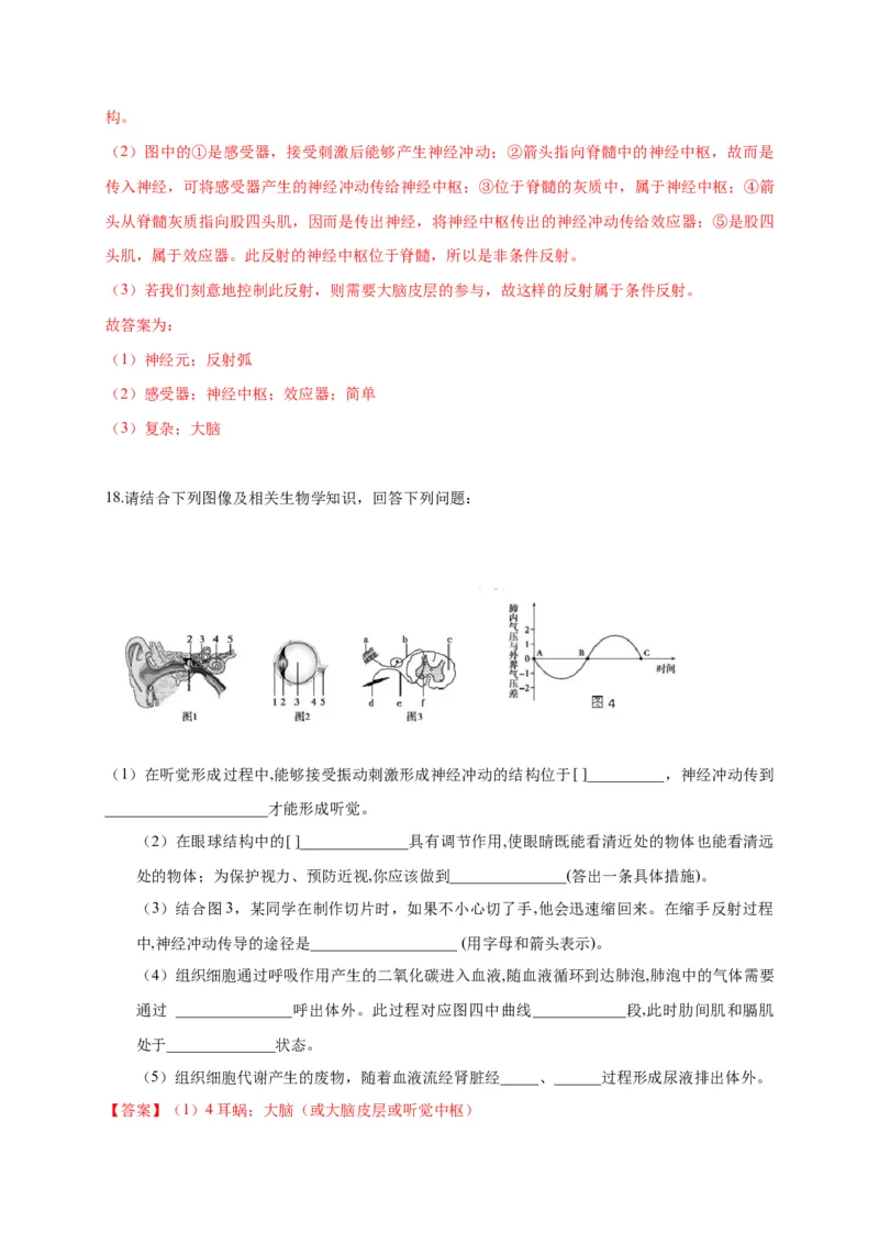 特训07图像分析题（20题）-（尖子生专用）（解析版）_初中全科电子版试卷练习试题_生物_生物人教版7下练习_人教生物7年级下专项练习16份