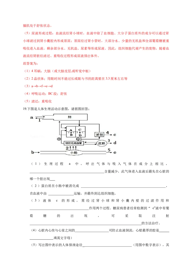 特训07图像分析题（20题）-（尖子生专用）（解析版）_初中全科电子版试卷练习试题_生物_生物人教版7下练习_人教生物7年级下专项练习16份