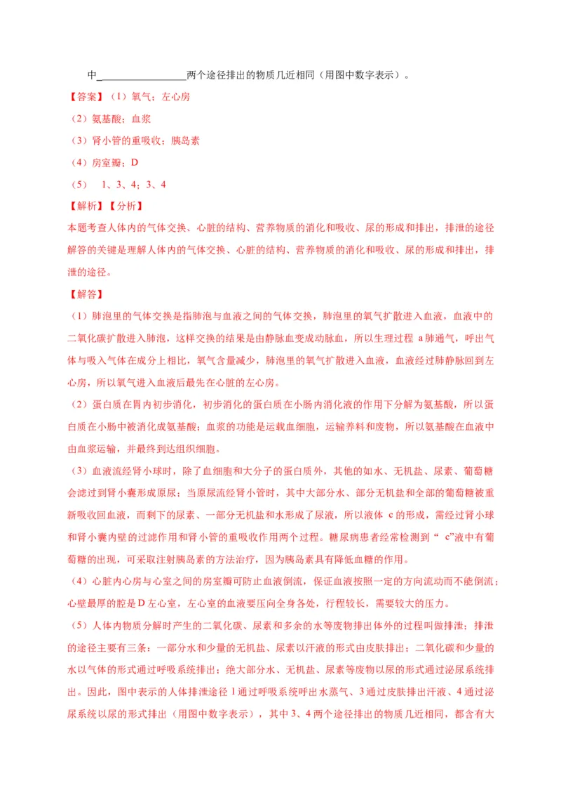 特训07图像分析题（20题）-（尖子生专用）（解析版）_初中全科电子版试卷练习试题_生物_生物人教版7下练习_人教生物7年级下专项练习16份