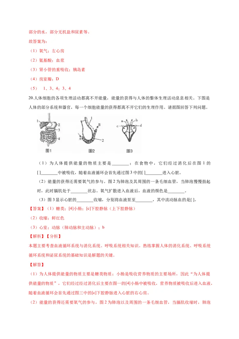特训07图像分析题（20题）-（尖子生专用）（解析版）_初中全科电子版试卷练习试题_生物_生物人教版7下练习_人教生物7年级下专项练习16份