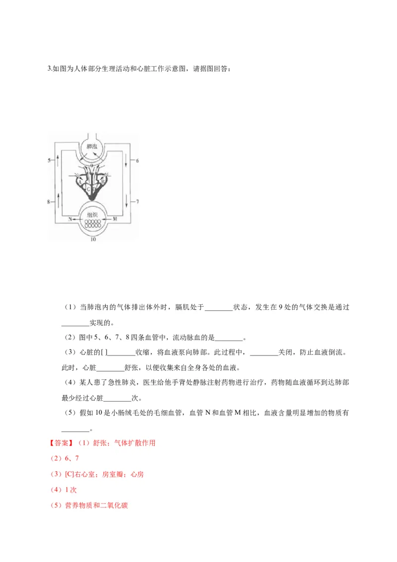 特训07图像分析题（20题）-（尖子生专用）（解析版）_初中全科电子版试卷练习试题_生物_生物人教版7下练习_人教生物7年级下专项练习16份