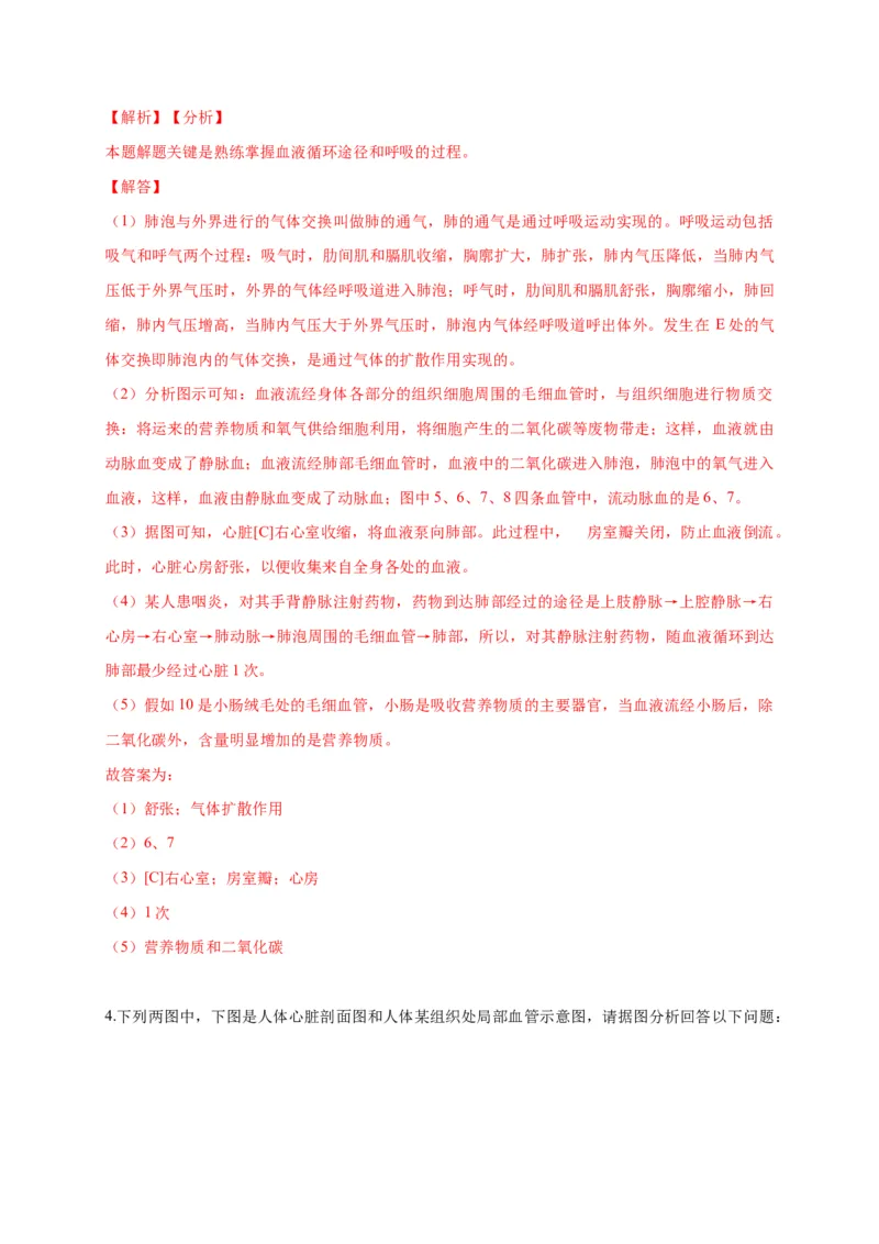特训07图像分析题（20题）-（尖子生专用）（解析版）_初中全科电子版试卷练习试题_生物_生物人教版7下练习_人教生物7年级下专项练习16份