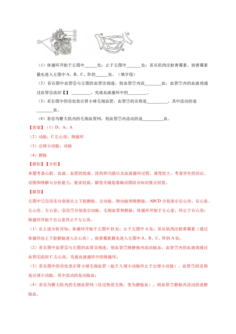 特训07图像分析题（20题）-（尖子生专用）（解析版）_初中全科电子版试卷练习试题_生物_生物人教版7下练习_人教生物7年级下专项练习16份