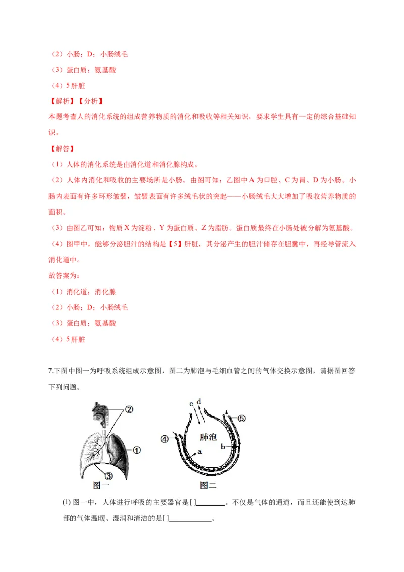 特训07图像分析题（20题）-（尖子生专用）（解析版）_初中全科电子版试卷练习试题_生物_生物人教版7下练习_人教生物7年级下专项练习16份