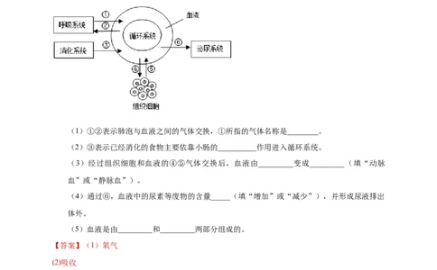 特训07图像分析题（20题）-（尖子生专用）（解析版）_初中全科电子版试卷练习试题_生物_生物人教版7下练习_人教生物7年级下专项练习16份