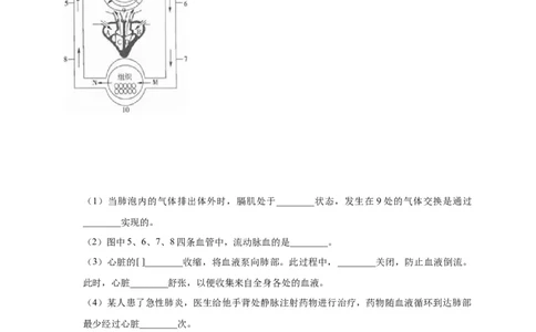 特训07图像分析题（20题）-（尖子生专用）（解析版）_初中全科电子版试卷练习试题_生物_生物人教版7下练习_人教生物7年级下专项练习16份