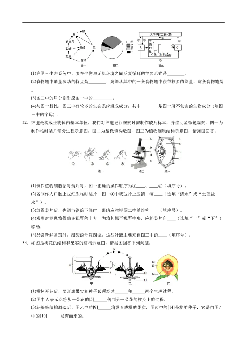 生物（泰州卷）（考试版A4）_初中全科电子版试卷练习试题_生物_2024中考模拟题生物(1)_三模（37套）_生物（泰州卷）